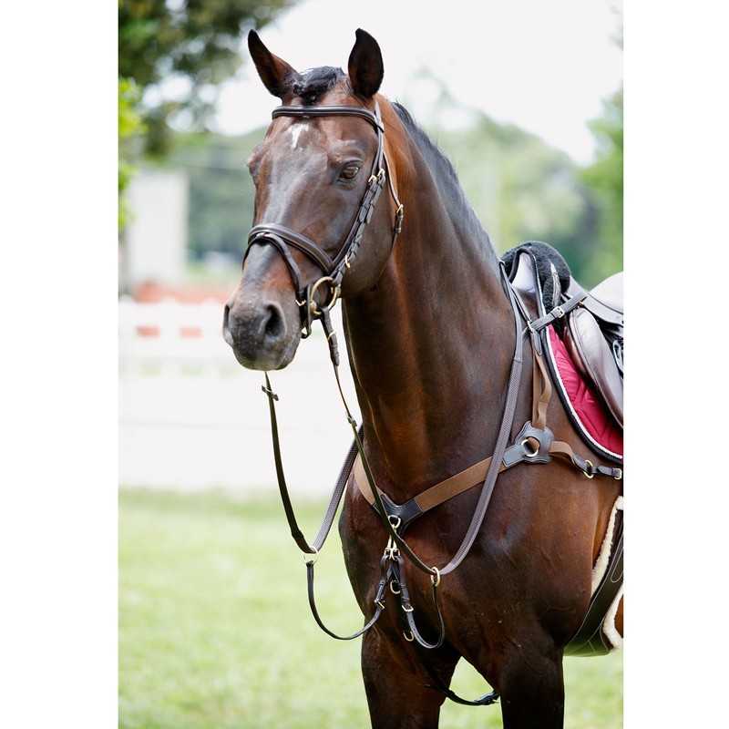 Cavalo castanho com arreios e sela em ambiente exterior