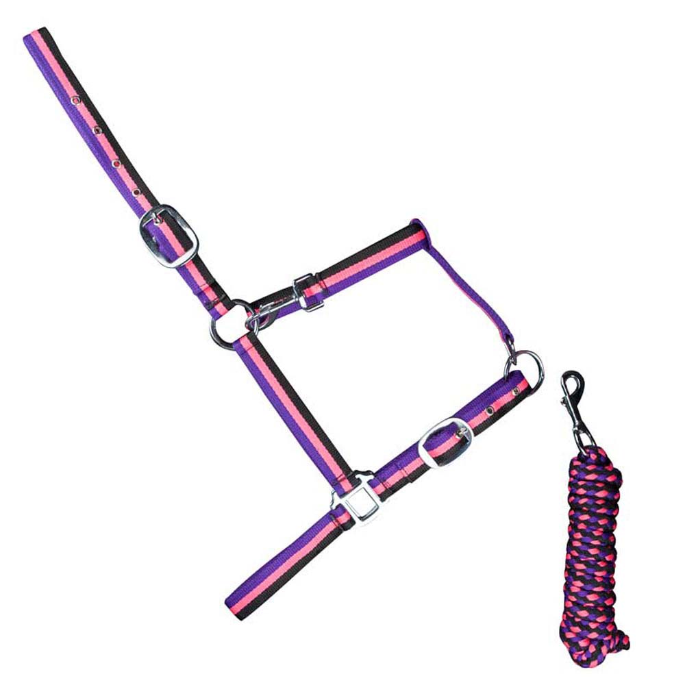 Cabresto de nylon listrado roxo e rosa com corda trançada