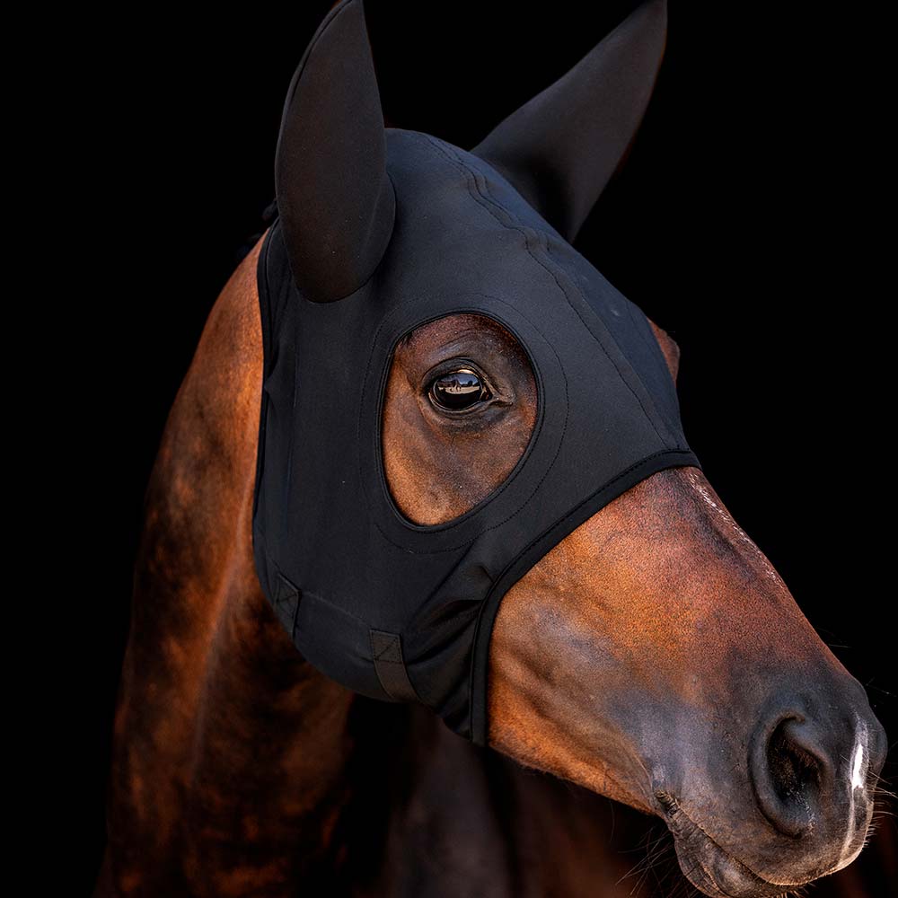 Máscara preta para cavalo castanho, cobrindo cabeça e orelhas com aberturas para olhos e nariz