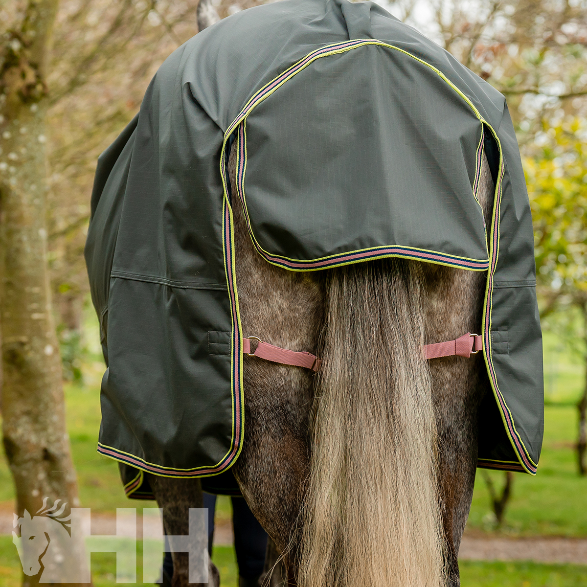 Mantinha para cavalo cinza escura com detalhes coloridos, vista traseira