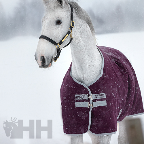 Cavalo com manta bordeaux AMIGO em neve