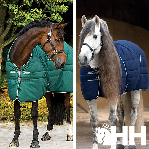 Duas mantas acolchoadas para cavalos, verde e azul, em cavalos castanho e cinzento com fivelas metálicas.