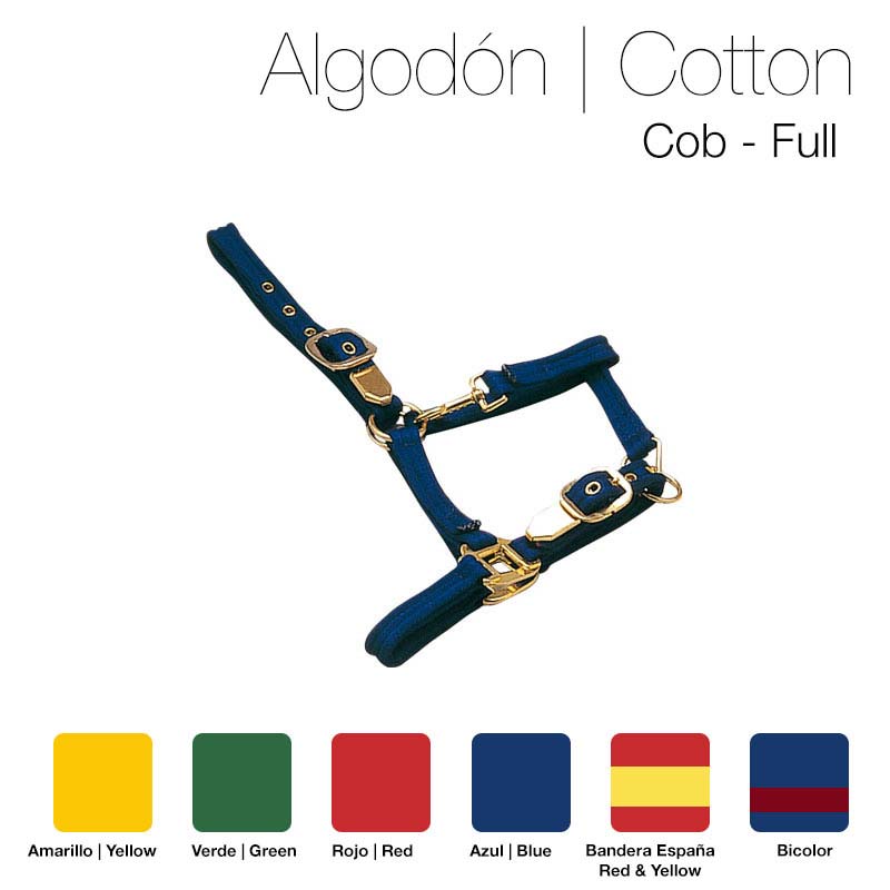 Cabresto de algodão azul com fivelas metálicas douradas