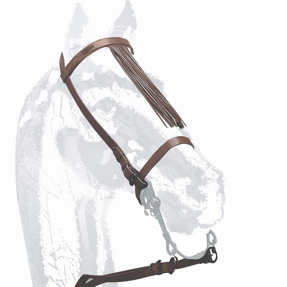 Cabresto de cavalo em pele castanha com franjas e fivelas metálicas.