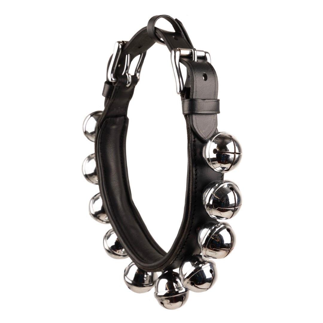 Coleira preta com guizos metálicos prateados