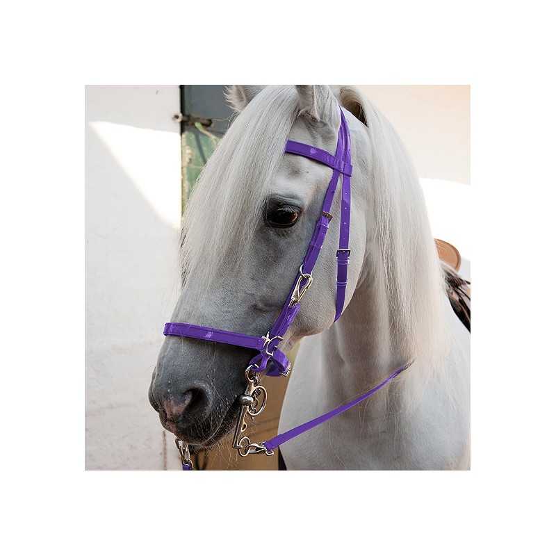Cavalo branco com freio roxo em ambiente interno