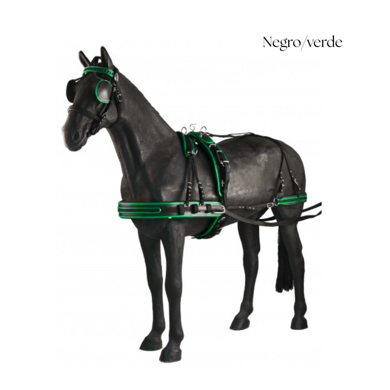 Cavalo preto com arreio preto e verde