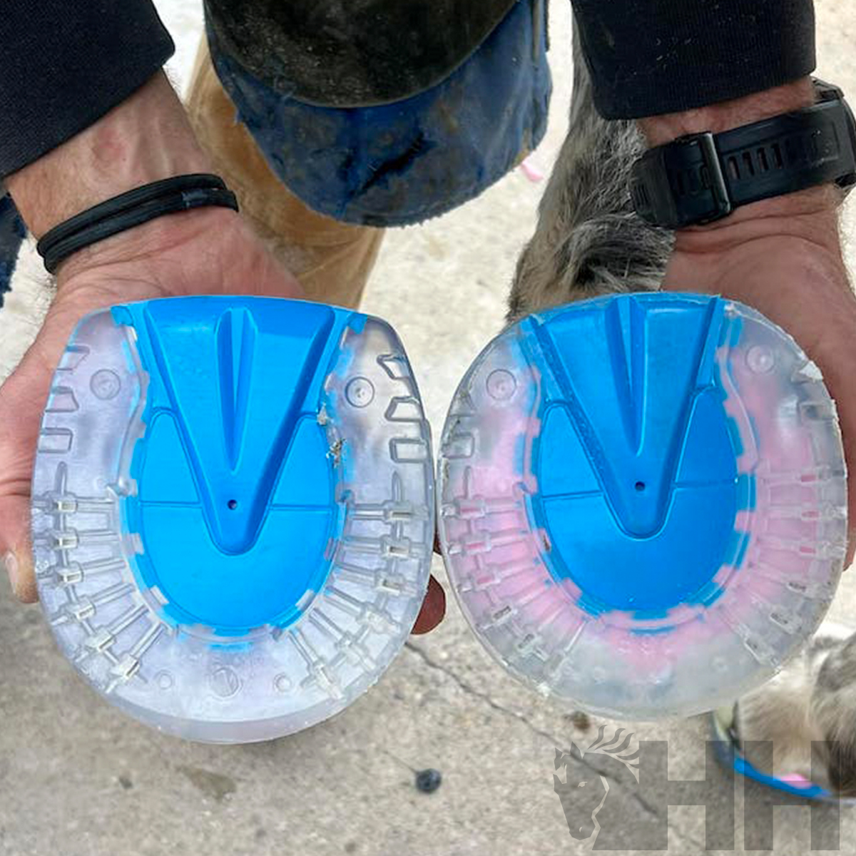 Sapatilhas para cascos de cavalo azuis e transparentes seguradas por mãos humanas