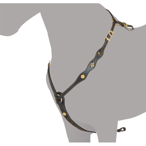 Peitoral para cão preto com tachas e fivelas douradas