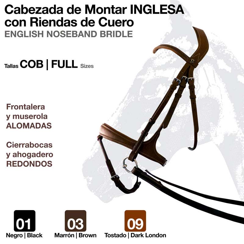 Cabeçada de montar inglesa em couro com rédeas, texto explicativo em espanhol e inglês