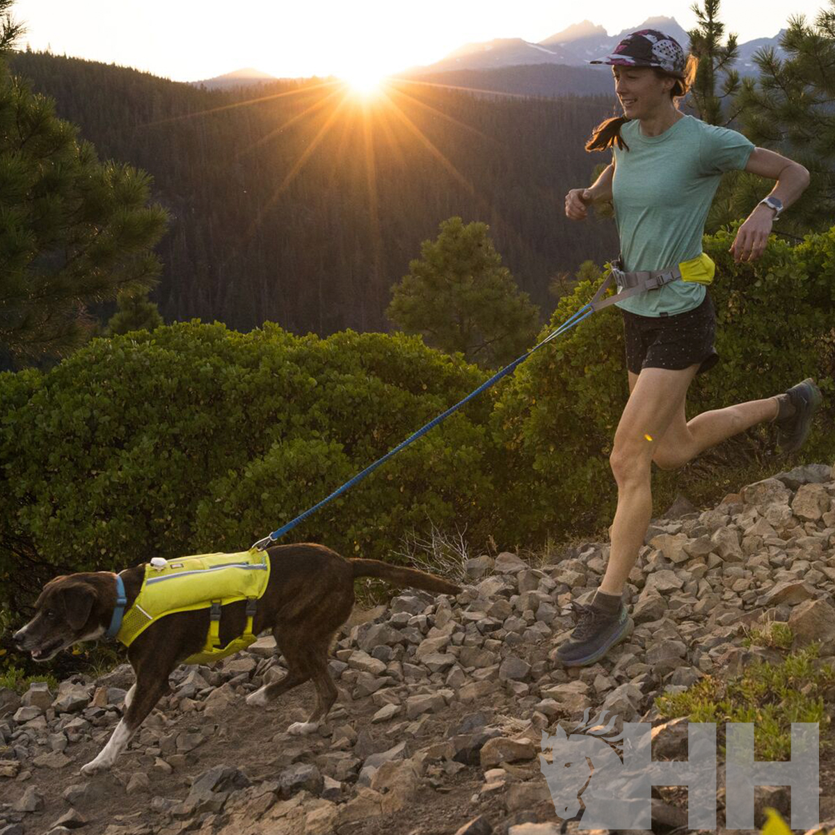 Pessoa a correr em trilho rochoso com cão e colete amarelo