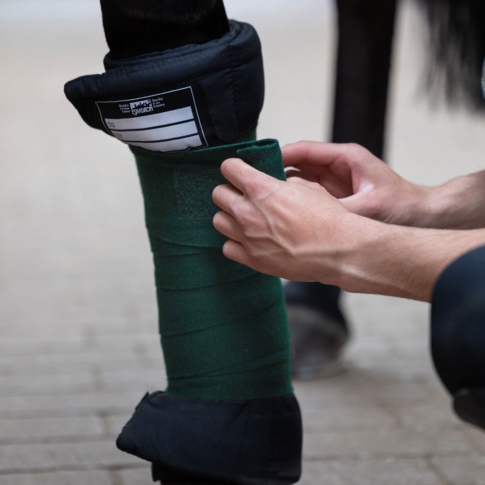 Bandagem verde elástica com proteção preta na perna de um cavalo sendo ajustada por mãos humanas