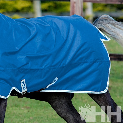 Cobertura azul para cavalo com acabamento branco e etiquetas visíveis, cavalo preto ao ar livre