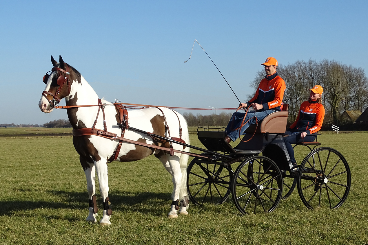 Carruagem puxada por cavalo castanho e branco com dois homens vestidos de laranja e azul num campo