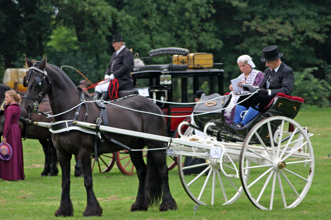 Carruagem branca puxada por cavalo preto com pessoas vestidas formalmente