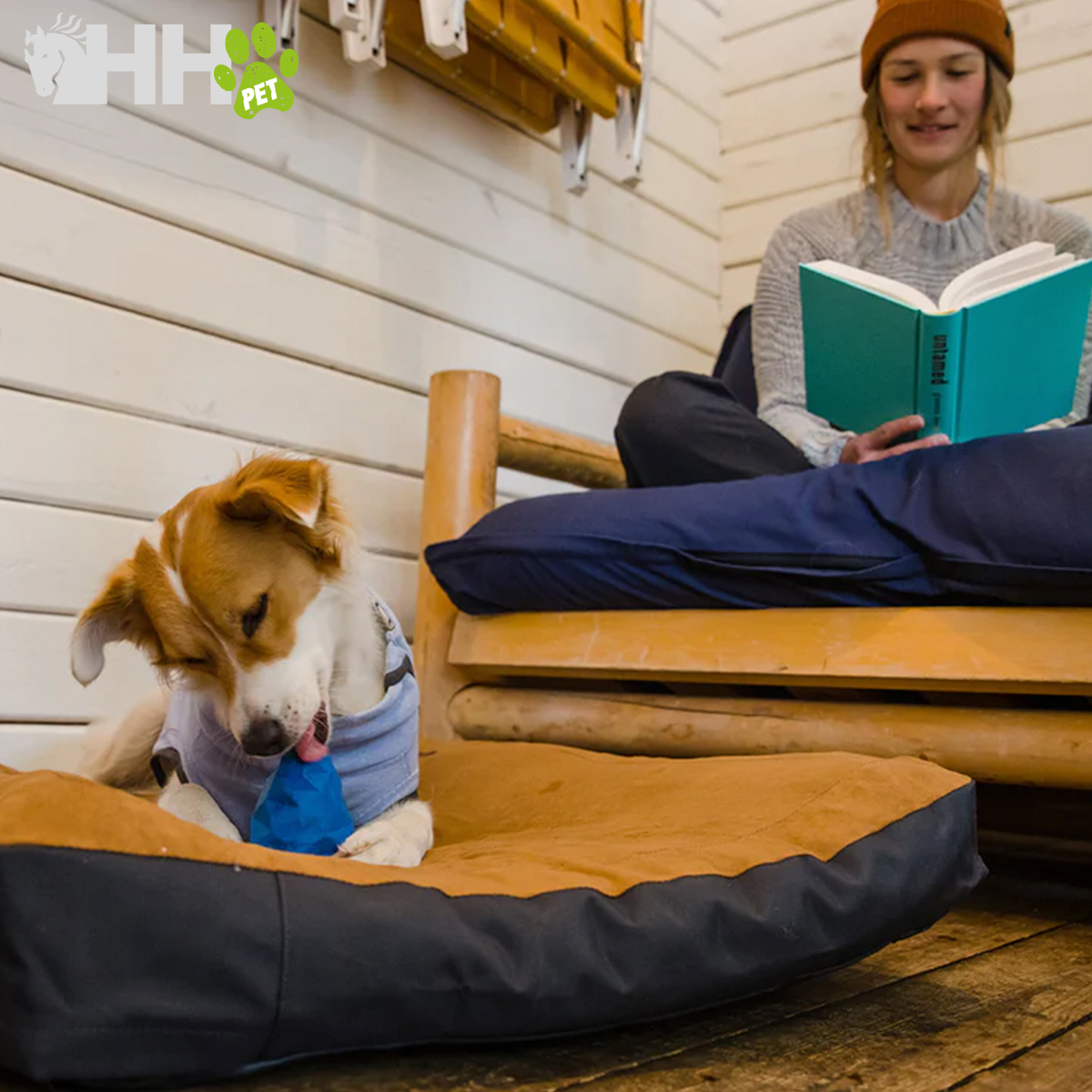 Cama para cão castanha e preta com cachorro a brincar ao lado de sofá de madeira e mulher a ler book verde