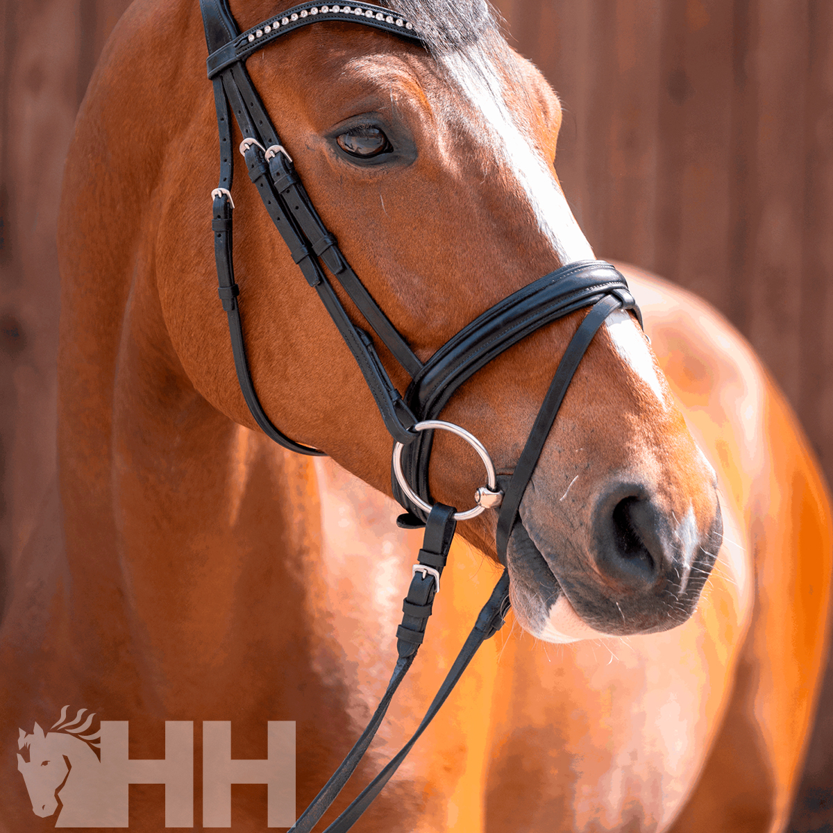 Cavalo castanho com cabresto e rédeas pretas decorados