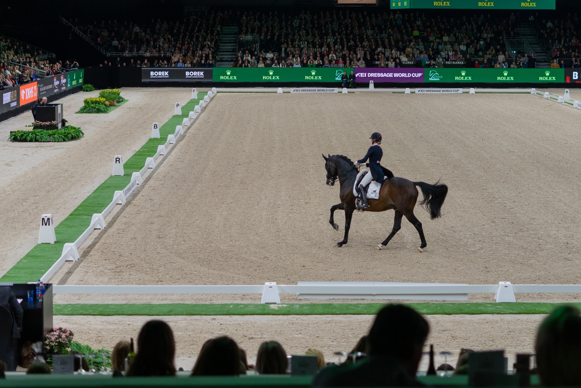 Competição de equitação com cavalo castanho e cavaleiro em pista de areia com público e banners verdes