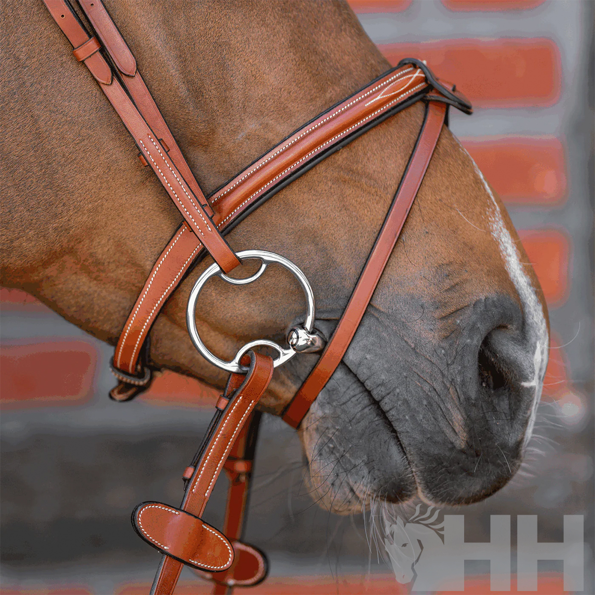 Cavalo com cabresto de couro castanho e argolas metálicas prateadas perto de uma parede de tijolos vermelhos