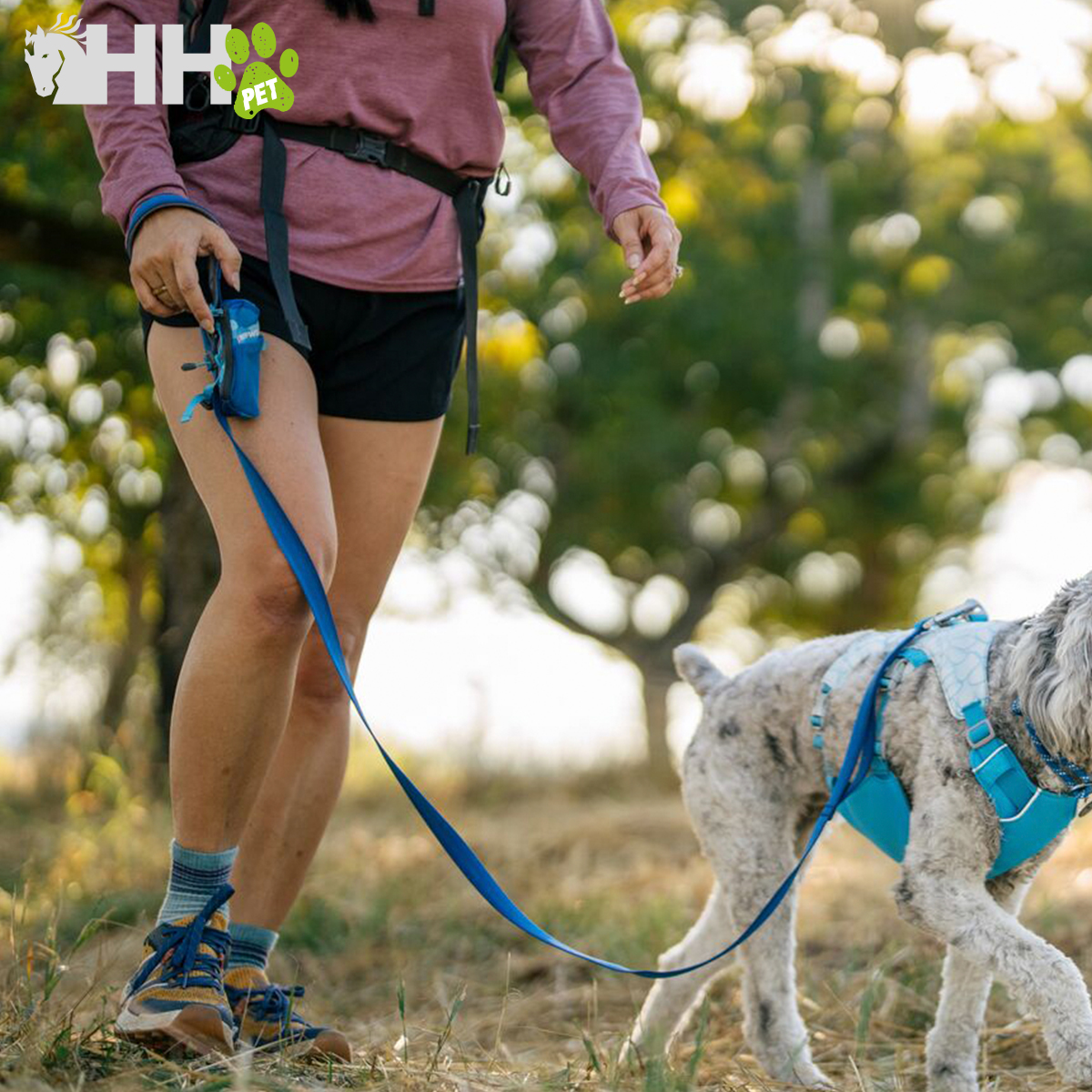 Pessoa a passear cão com arnês e trela azul em ambiente natural