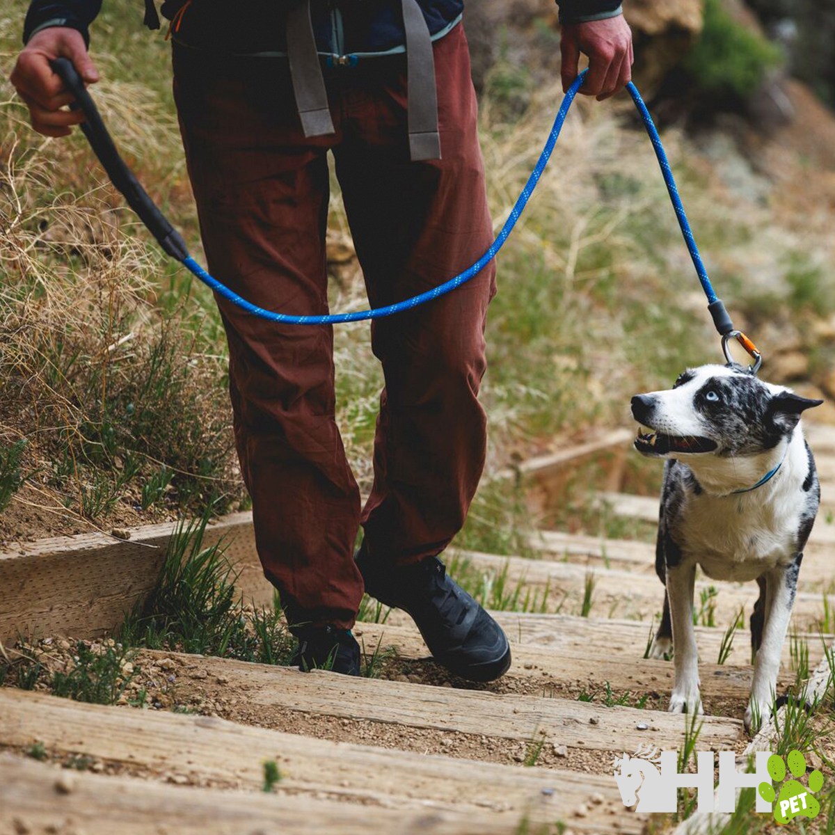 Pessoa com cão de pelo branco e preto num trilho, usando trela azul