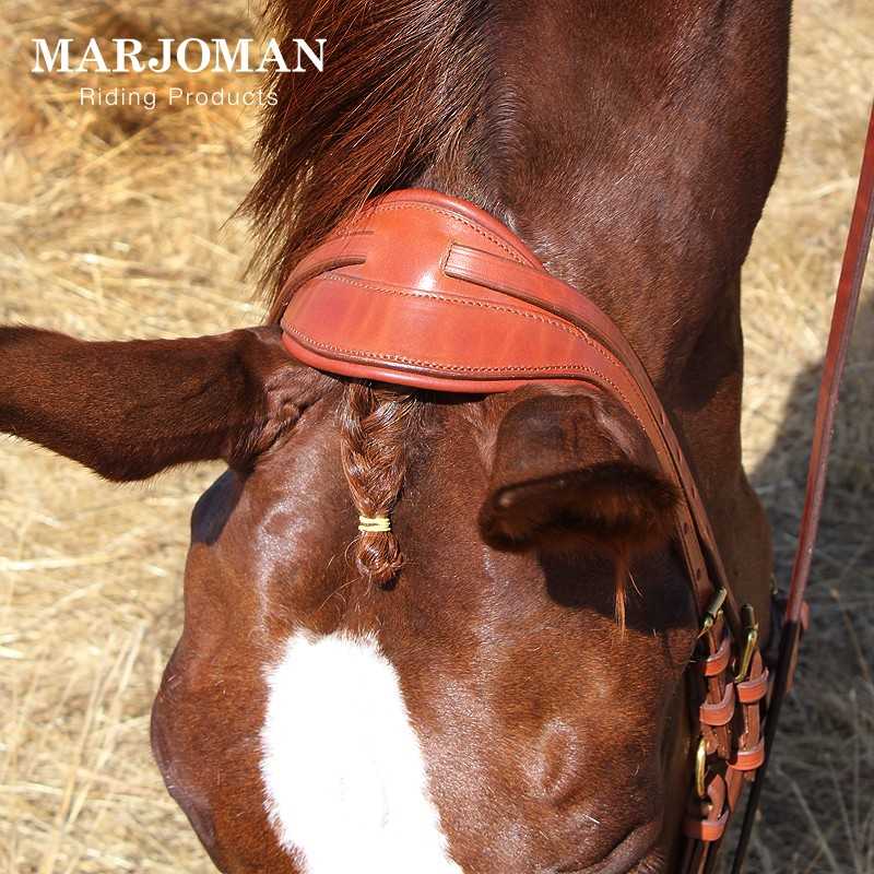 Cavalo com cabeçada de couro castanho e mancha branca no focinho, em ambiente rústico ao ar livre
