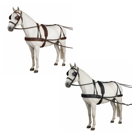 Duas réplicas de cavalos brancos com arreios em pele castanha e preta