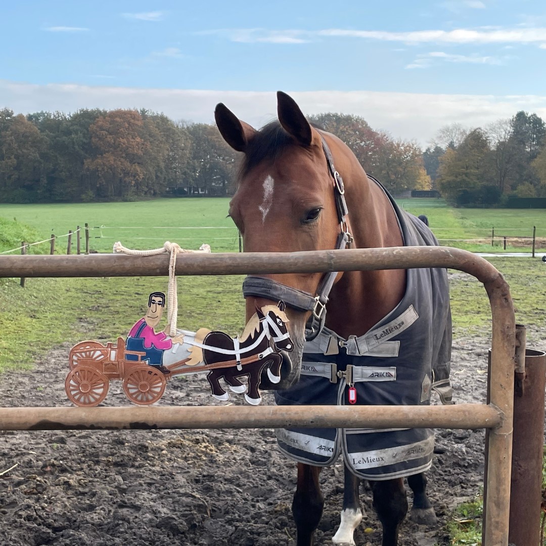 Cavalo castanho com manta cinza ao lado de portão com enfeite de charrete