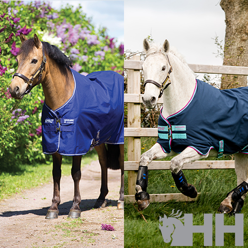 Dois cavalos com capas azuis em ambiente exterior