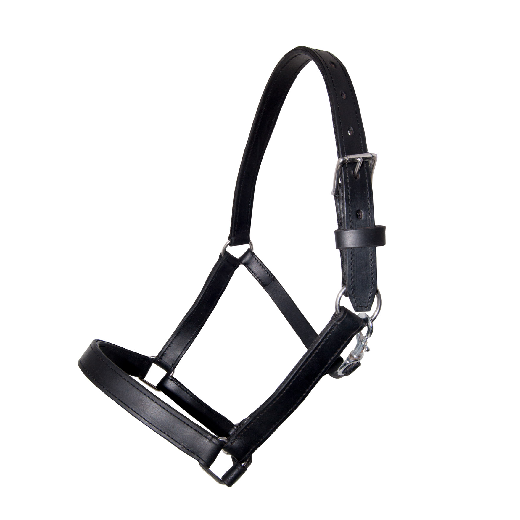Cabresto de pele preta com fivela metálica prateada