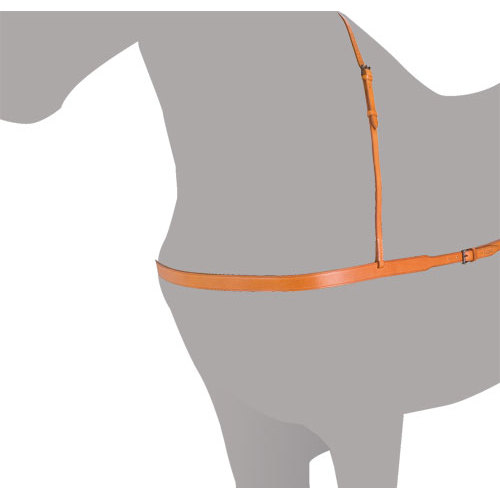 Cinto de cavalo em couro castanho com fivela metálica ajustável num manequim cinzento