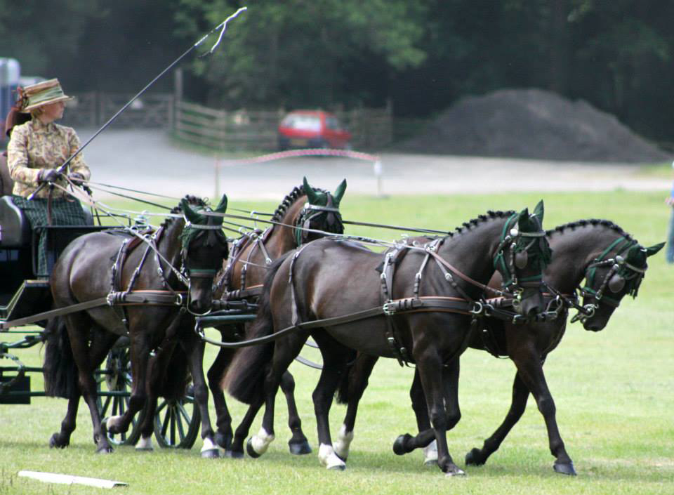 Carruagem preta puxada por quatro cavalos pretos num campo verde