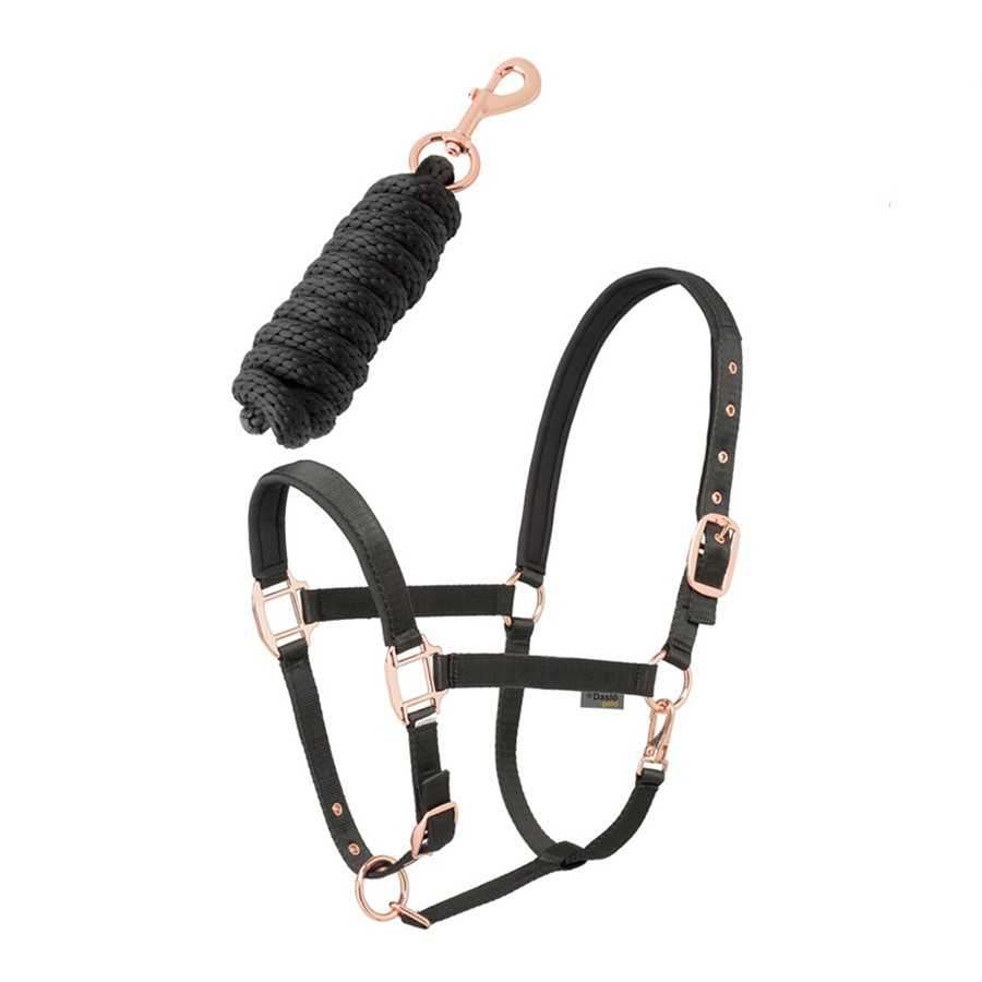 Conjunto preto de cabresto e rédea para cavalo com ferragens douradas