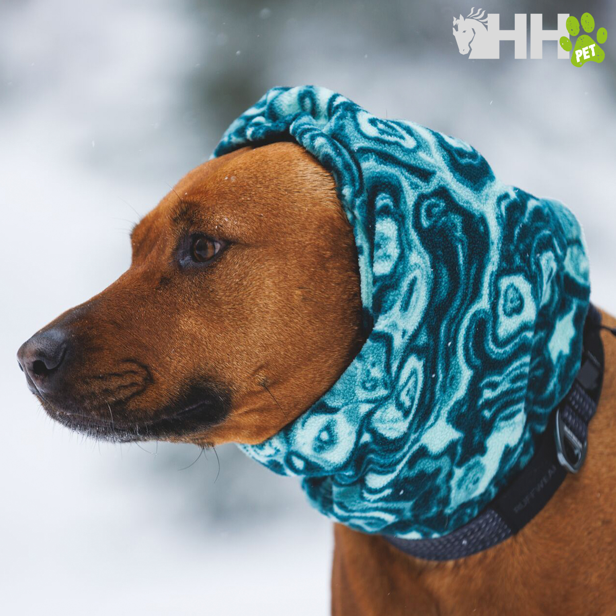 Cão castanho com cachecol azul padrão ondulado na neve
