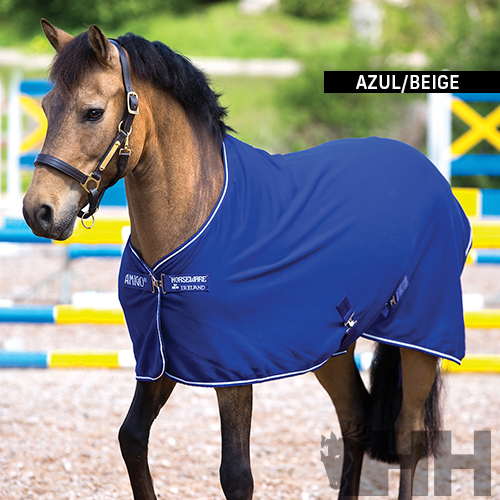 Cavalo com manta azul/beige em pista de equitação