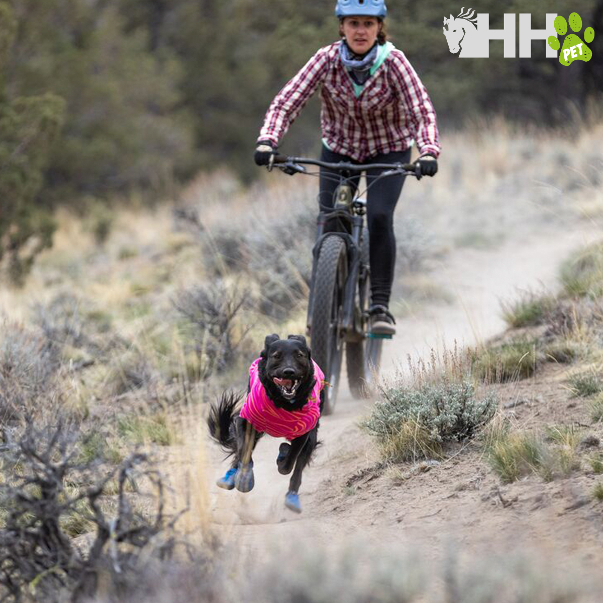 Cão com casaco rosa a correr numa trilha e pessoa de capacete de bicicleta atrás