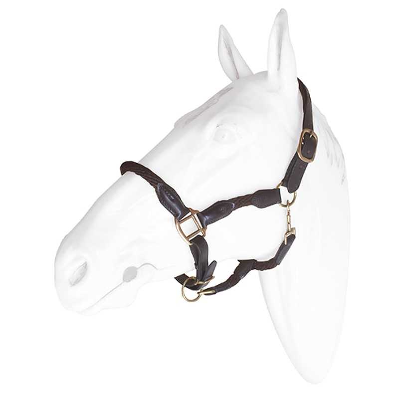 Cabresto preto para cavalo em nylon com fivelas e argolas douradas, mostrado num busto de cavalo branco.