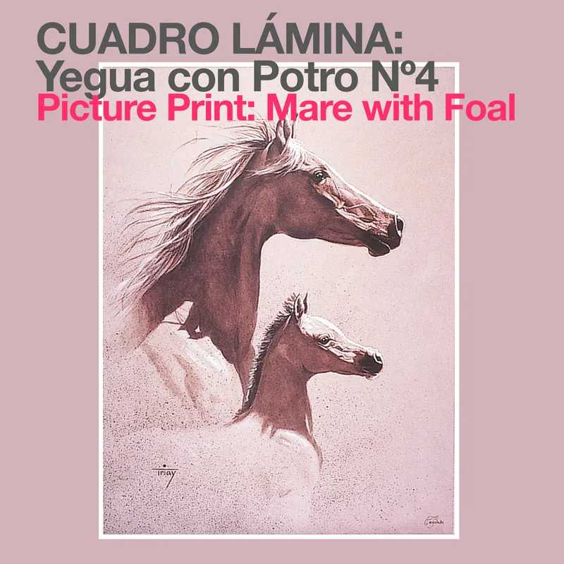 Ilustração rosa de égua com potro com texto explicativo em duas línguas