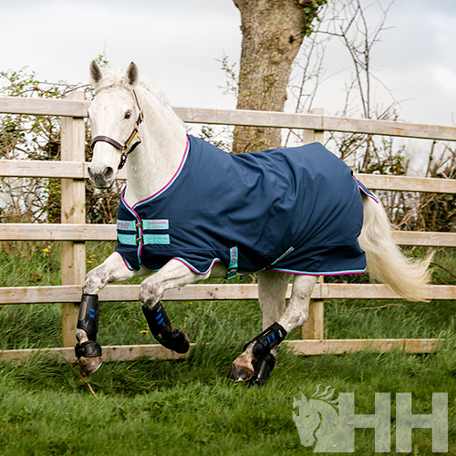Cavalo branco com cobertor azul escuro e proteção nas pernas numa cerca de madeira