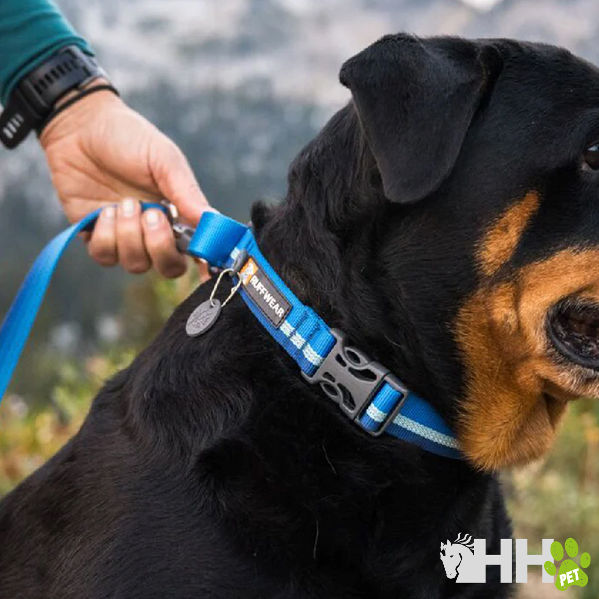 Coleira azul para cão em nylon com etiqueta e fecho preto