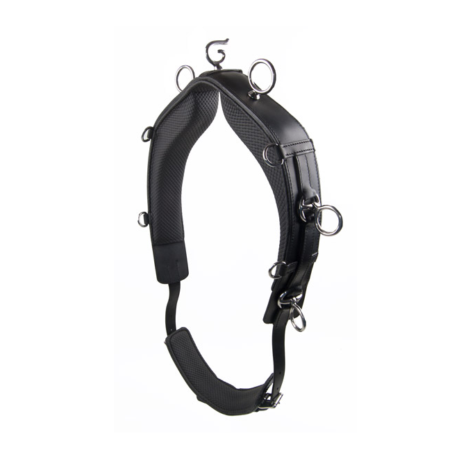 Coleira de treino preta com aros metálicos prateados e textura acolchoada