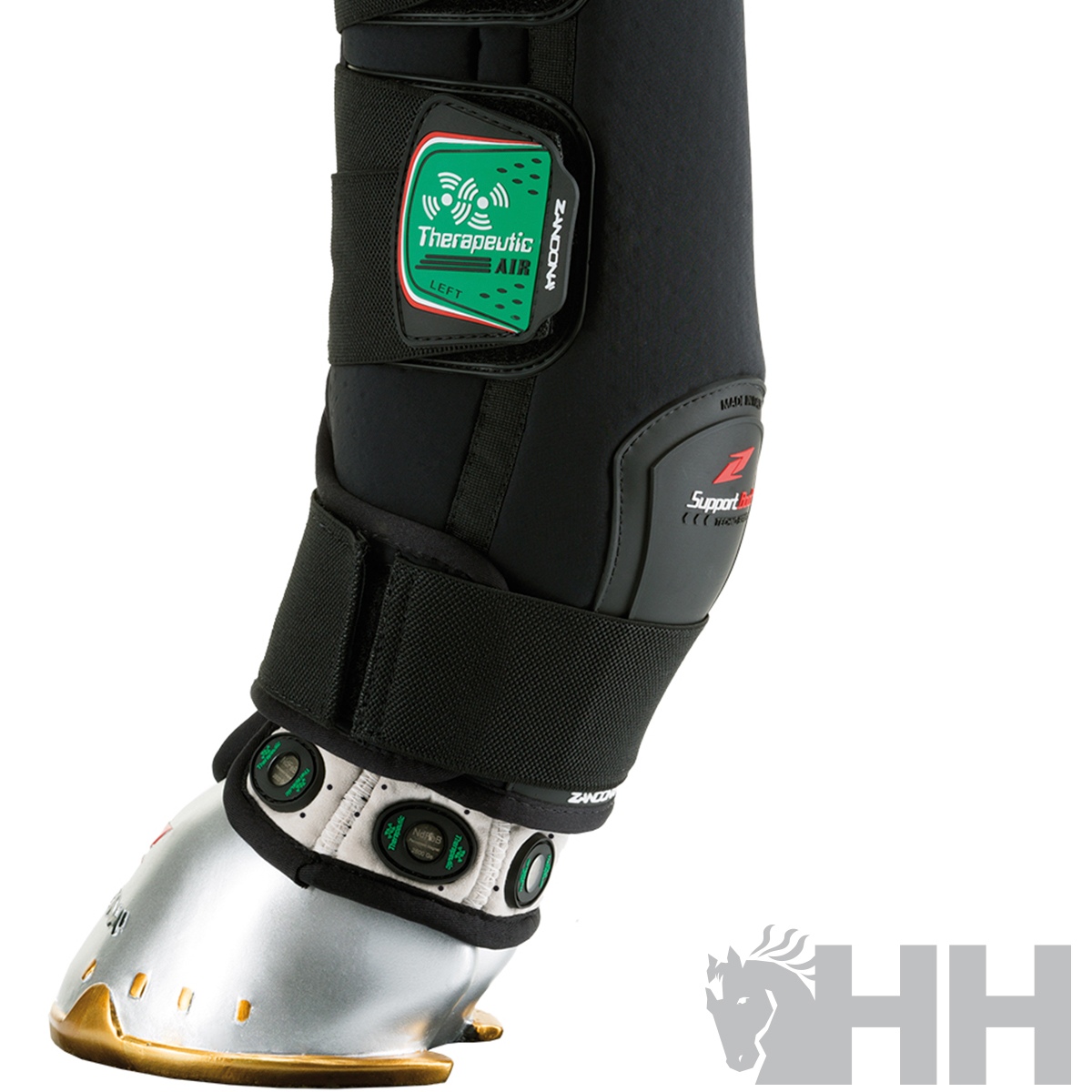 Perna equina com proteção preta e sapato prateado com etiquetas e correias