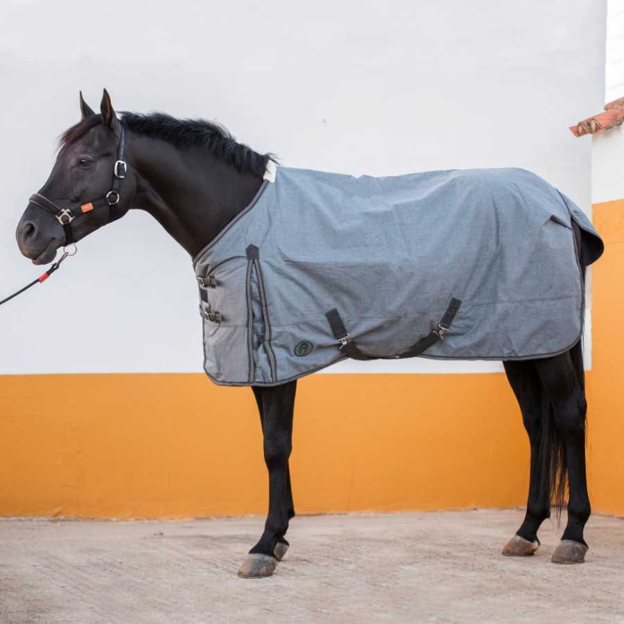 Cavalo preto com manta cinza e cabresto preto