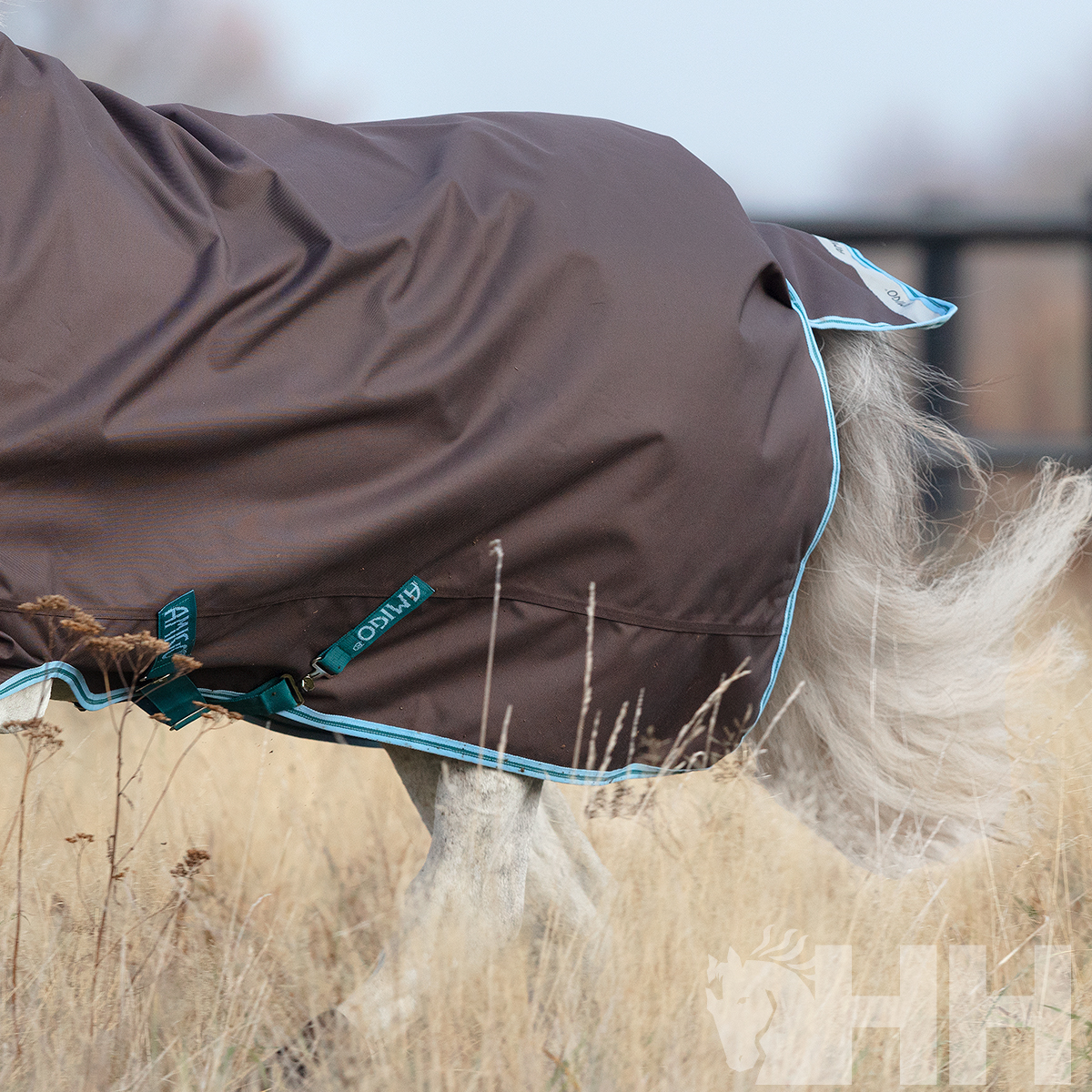 Cobertor para cavalo cinzento escuro com detalhes em azul claro num campo seco