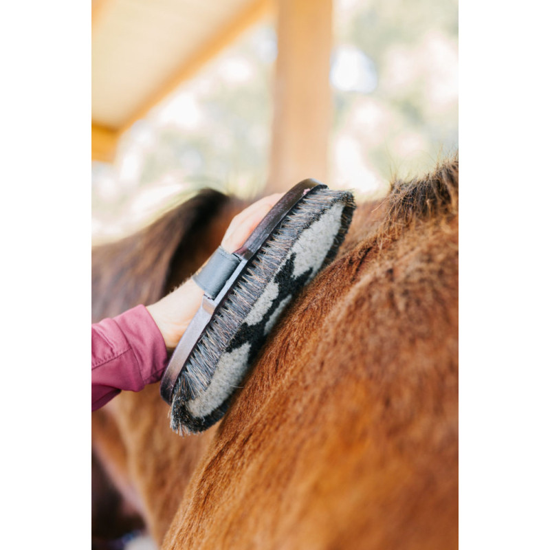 Escova para cavalo com cerdas naturais e padrão tecido na base