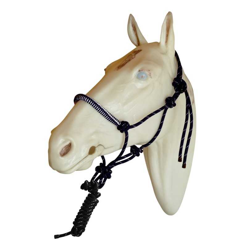 Cabeça de cavalo branca com cabresto preto em corda