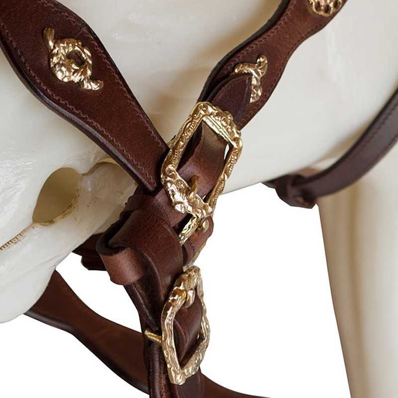 Cabeçada de cavalo castanha com fivelas douradas decorativas