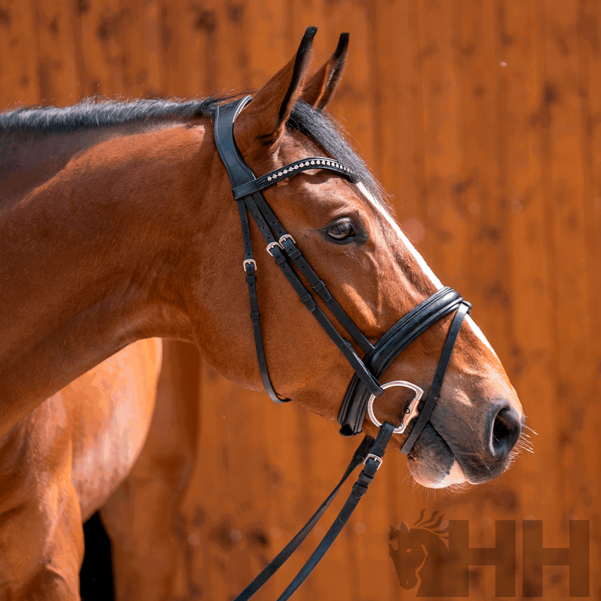 Cavalo castanho com cabedal preto e franja com cristais em frente a parede de madeira