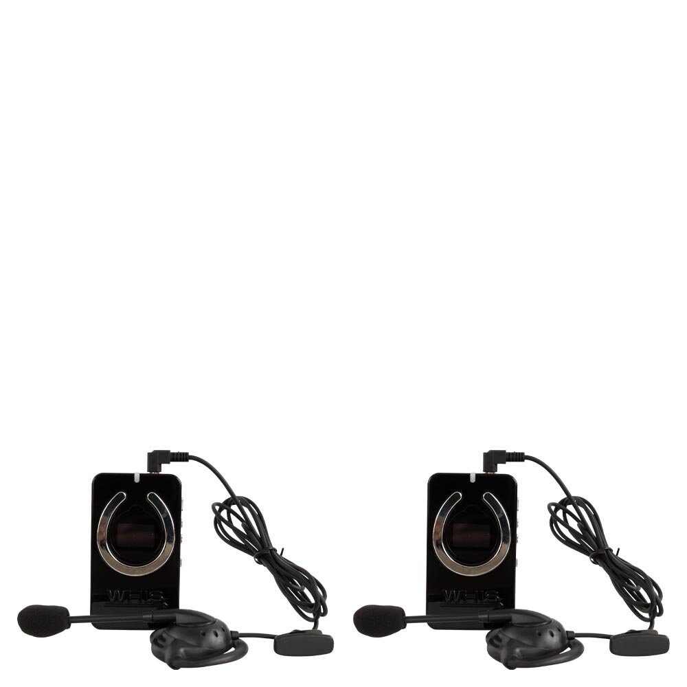 Dois sistemas de microfone sem fios WSTER com microfones de cabeça