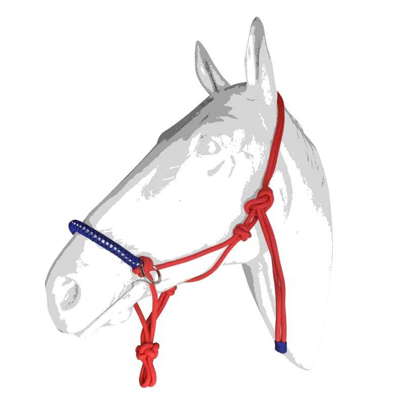 Cabresto de cavalo vermelho com peitoral azul em ilustração de cabeça de cavalo